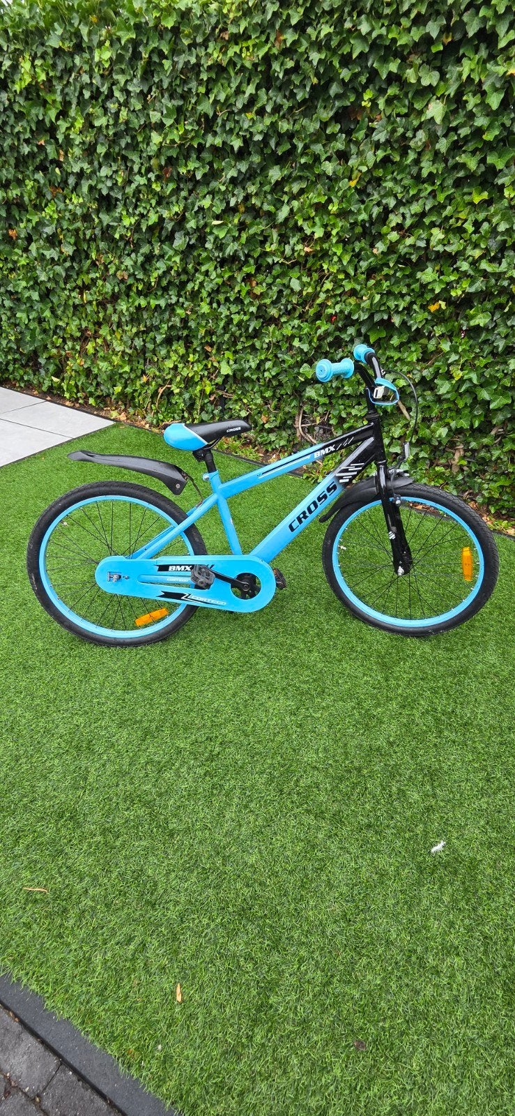 BMX Cross 22 inch - Zo goed als nieuw, Ophalen, Staal, Velgrem, Cross