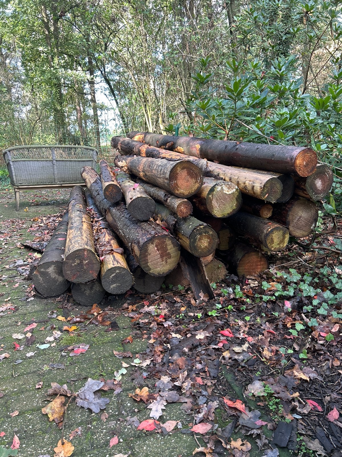 25 Houten boomstammen 300cm, diverse diktes, Gebruikt, Overige typen, Ophalen of Verzenden, Overige houtsoorten