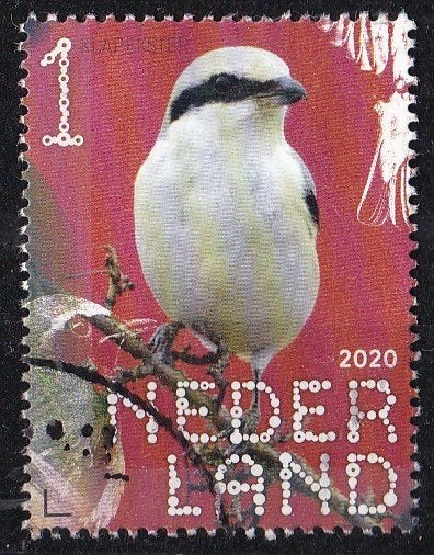 BDN – Bos- en heidevogels – klapekster – gebruikt –NVPH 3871, Verzenden, Na 1940, Gestempeld
