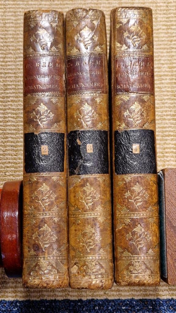 Euangelische Schatkamer - Cornelis Brem, Ophalen of Verzenden