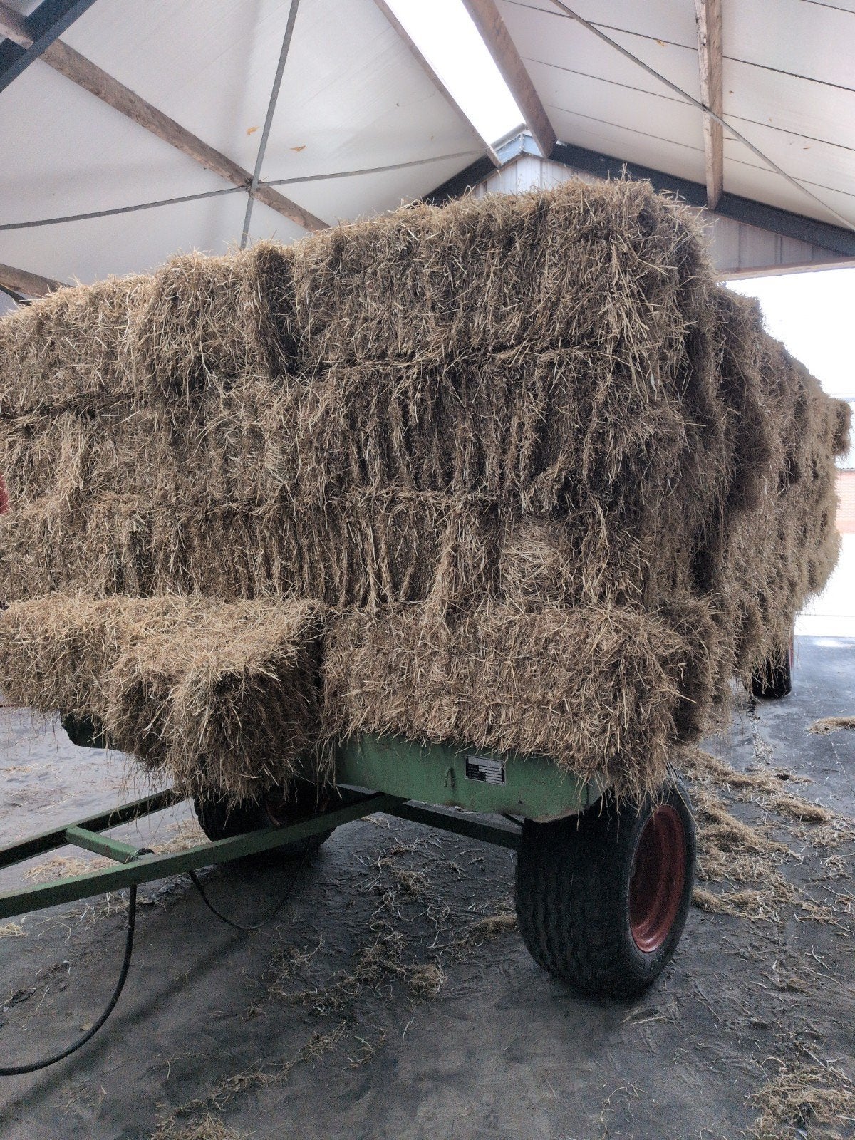 Tekoop 125 balen hooi., Dieren en Toebehoren, Ophalen, Vee
