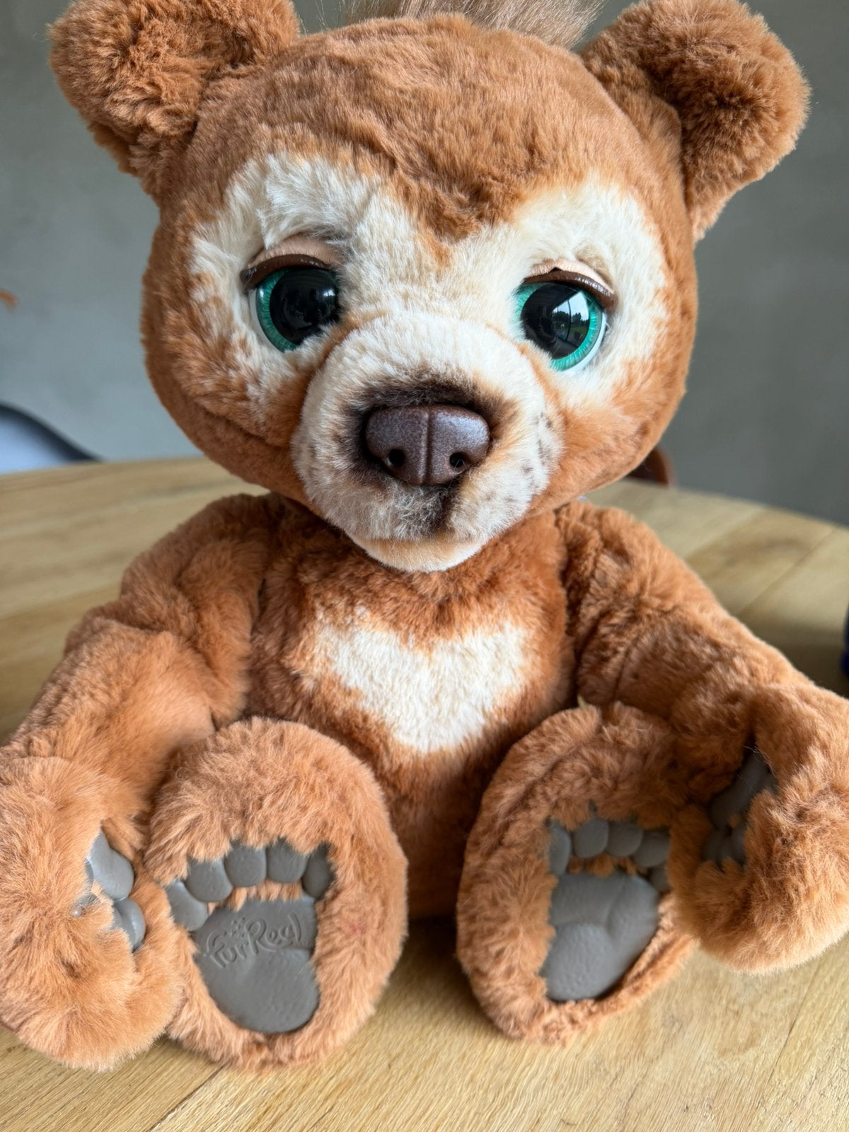 Fur Real Cubby bear, Ophalen, Zo goed als nieuw, Beer