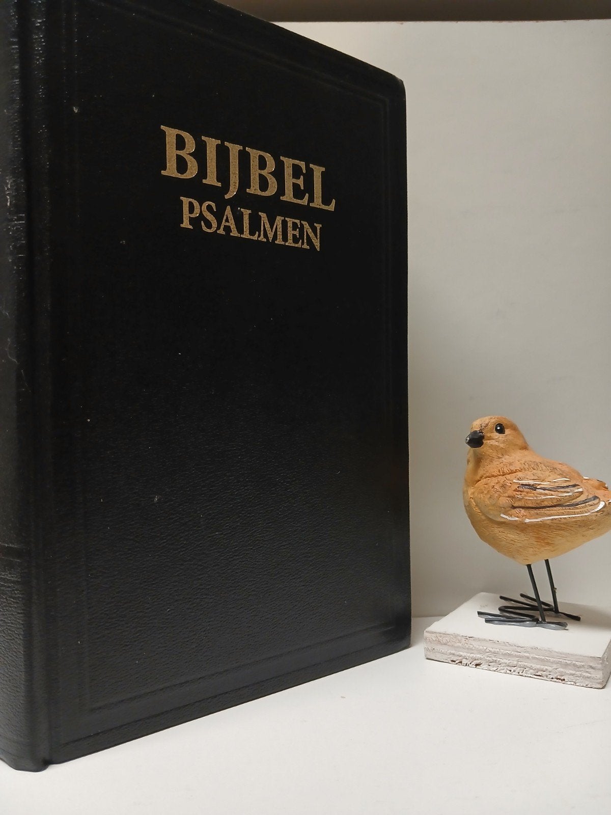 Bijbel, GBS Huisbijbel :  Psalmen en Formulieren, Boeken, Godsdienst en Theologie, Ophalen of Verzenden, Gelezen, Christendom | Protestants