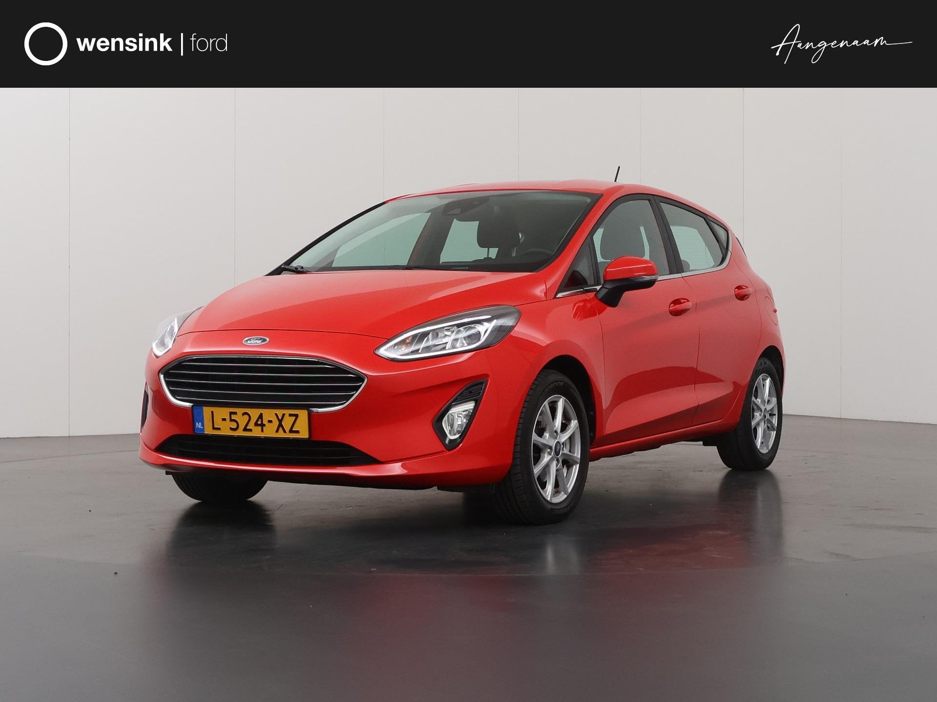 Ford Fiesta 1.0 EcoBoost Titanium | Trekhaak | Climate Contr