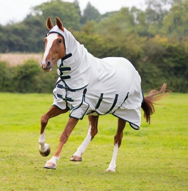 Nieuwe Shires vliegendeken Sweet Itch maat 175 cm, Overige merken, Nieuw, Deken, UV-werend