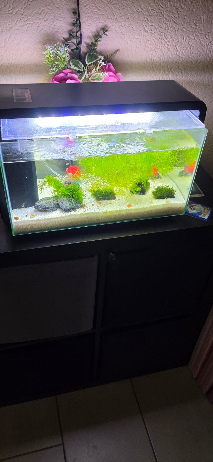 Superfish home 30, Dieren en Toebehoren, Ophalen, Zo goed als nieuw, Gevuld zoetwateraquarium