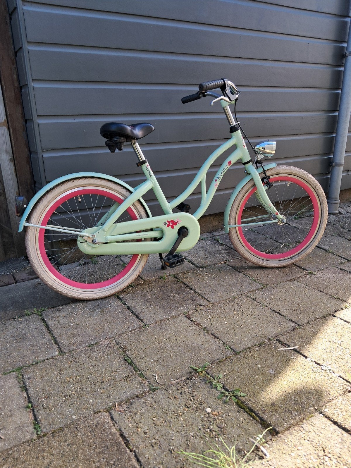 20 inch meisjes fiets Alpina bikes,com, Ophalen, 20 inch, Handrem