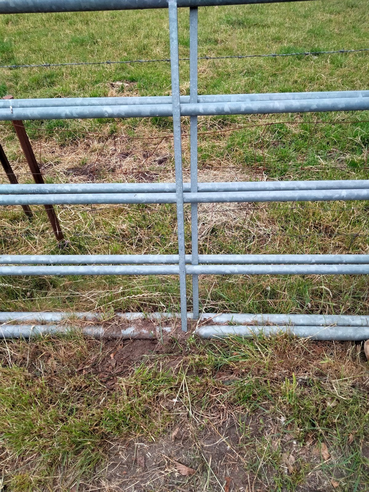Weide hekken., Ophalen, Met poort, Gebruikt, Overige typen
