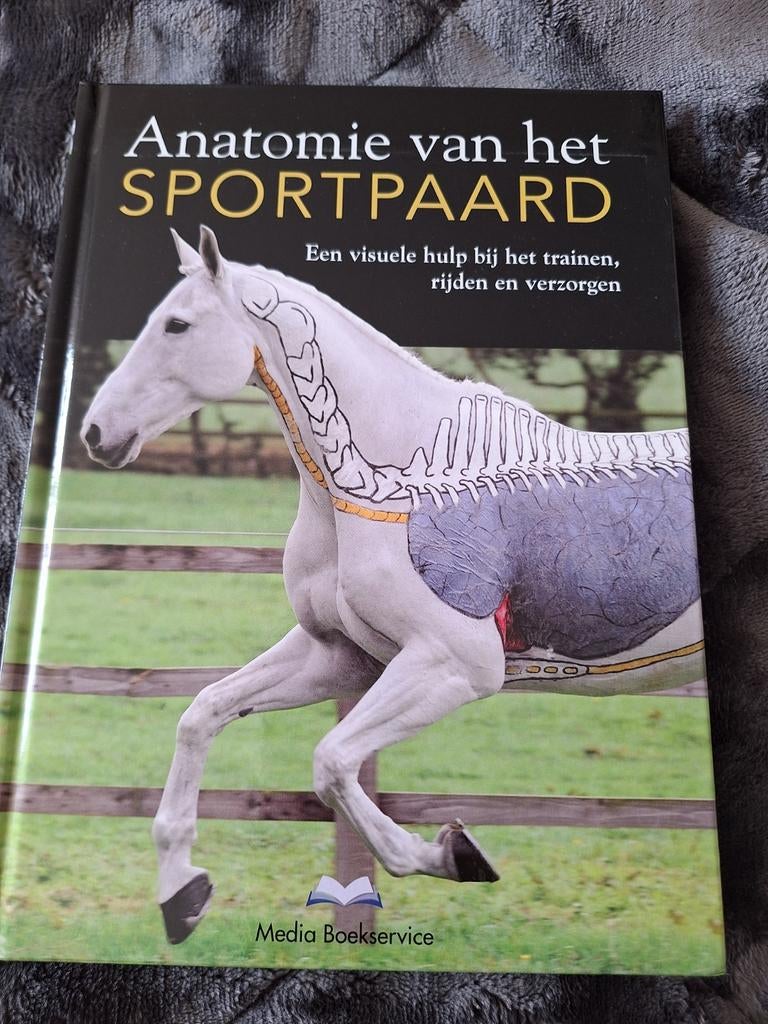 Anatomie van het Sportpaard - Nieuw boek, Boeken, Nieuw, Ophalen of Verzenden, Gillian Higgins, Paarden of Pony's