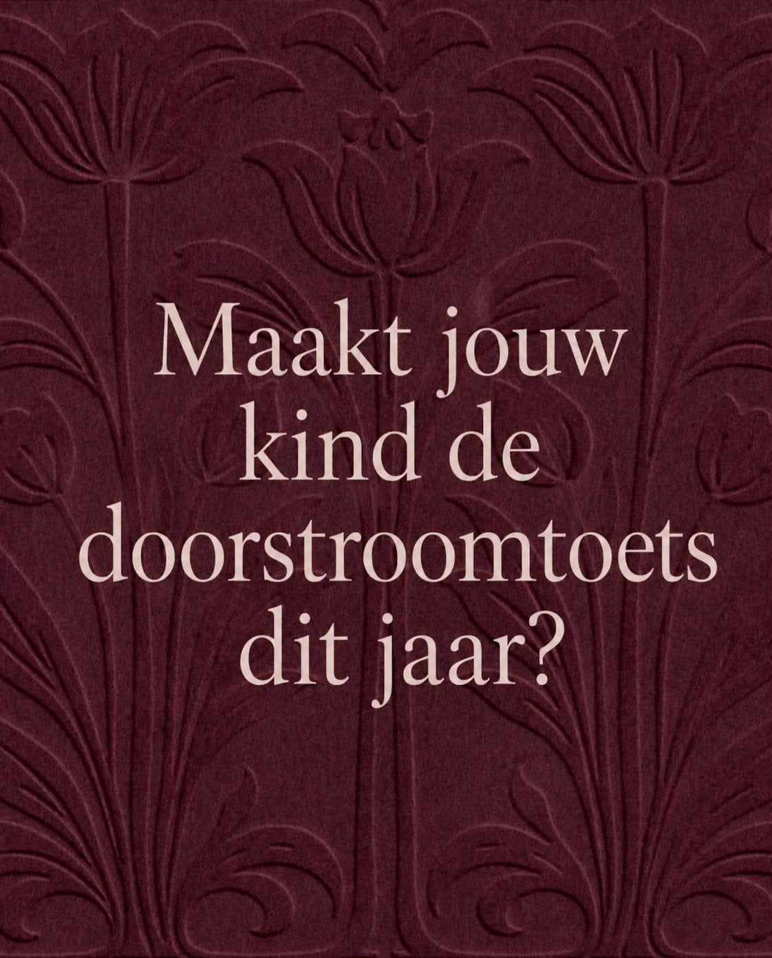 Bijles Doorstroomtoets & Cito door gediplomeerd docente