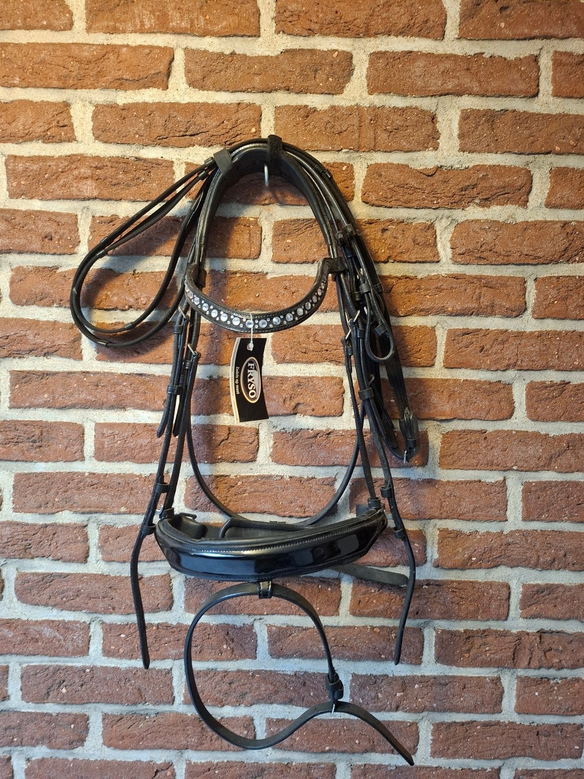 Nieuw Fryso hoofdstel, Hoofdstel, Nieuw, Ophalen of Verzenden, Zwart