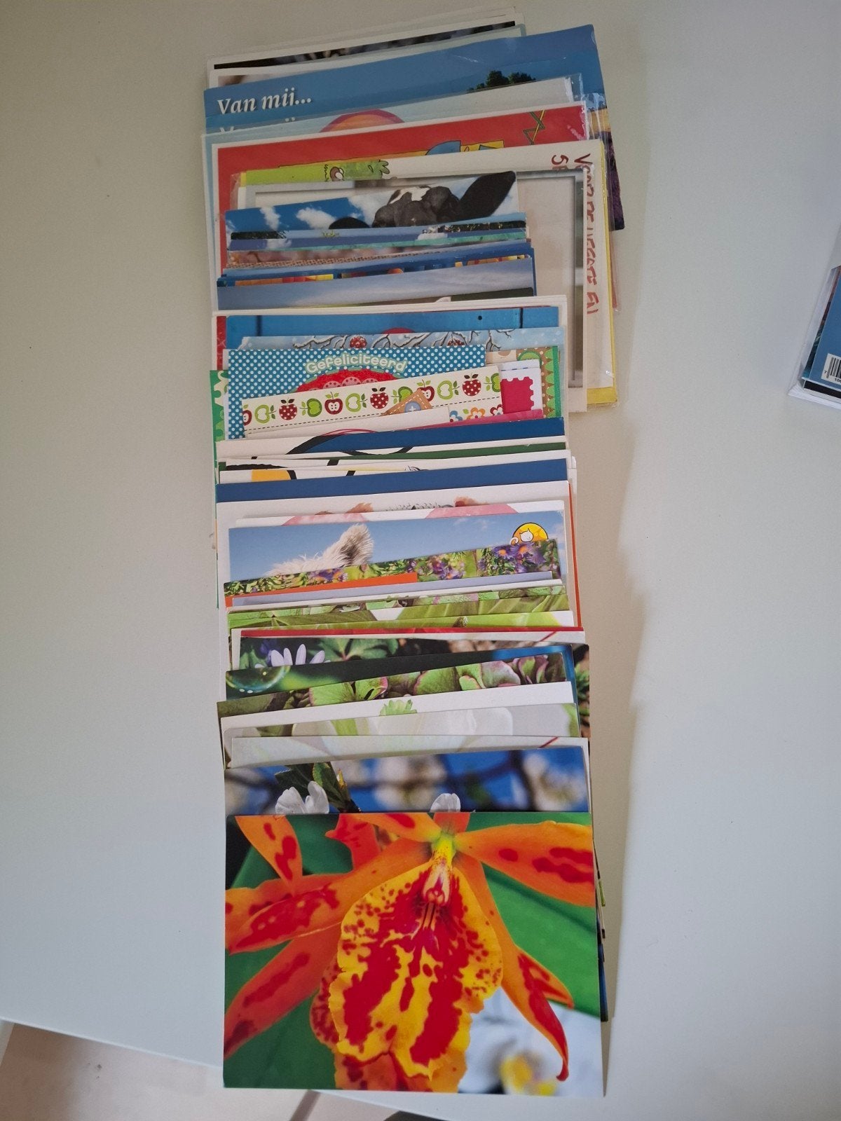Grote collectie diverse ansichtkaarten, Ophalen of Verzenden, Ongelopen