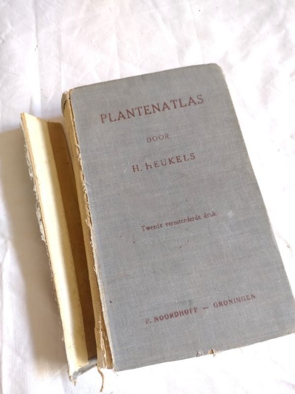 Plantenatlas, Heukels tweede druk 1925, Gelezen, Bloemen, Planten en Bomen, Ophalen of Verzenden, H.Heukels