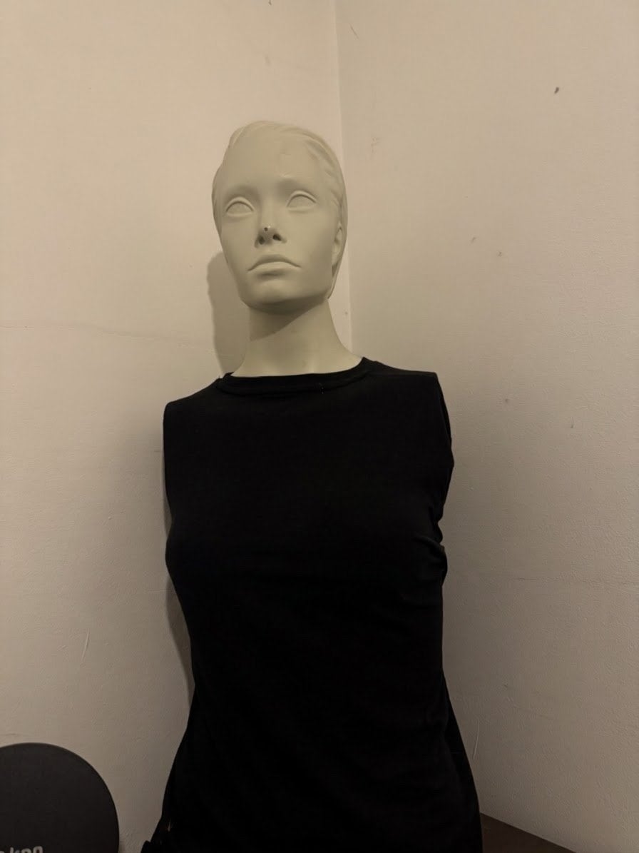 Witte kunststof etalagepop (torso met hoofd), Ophalen