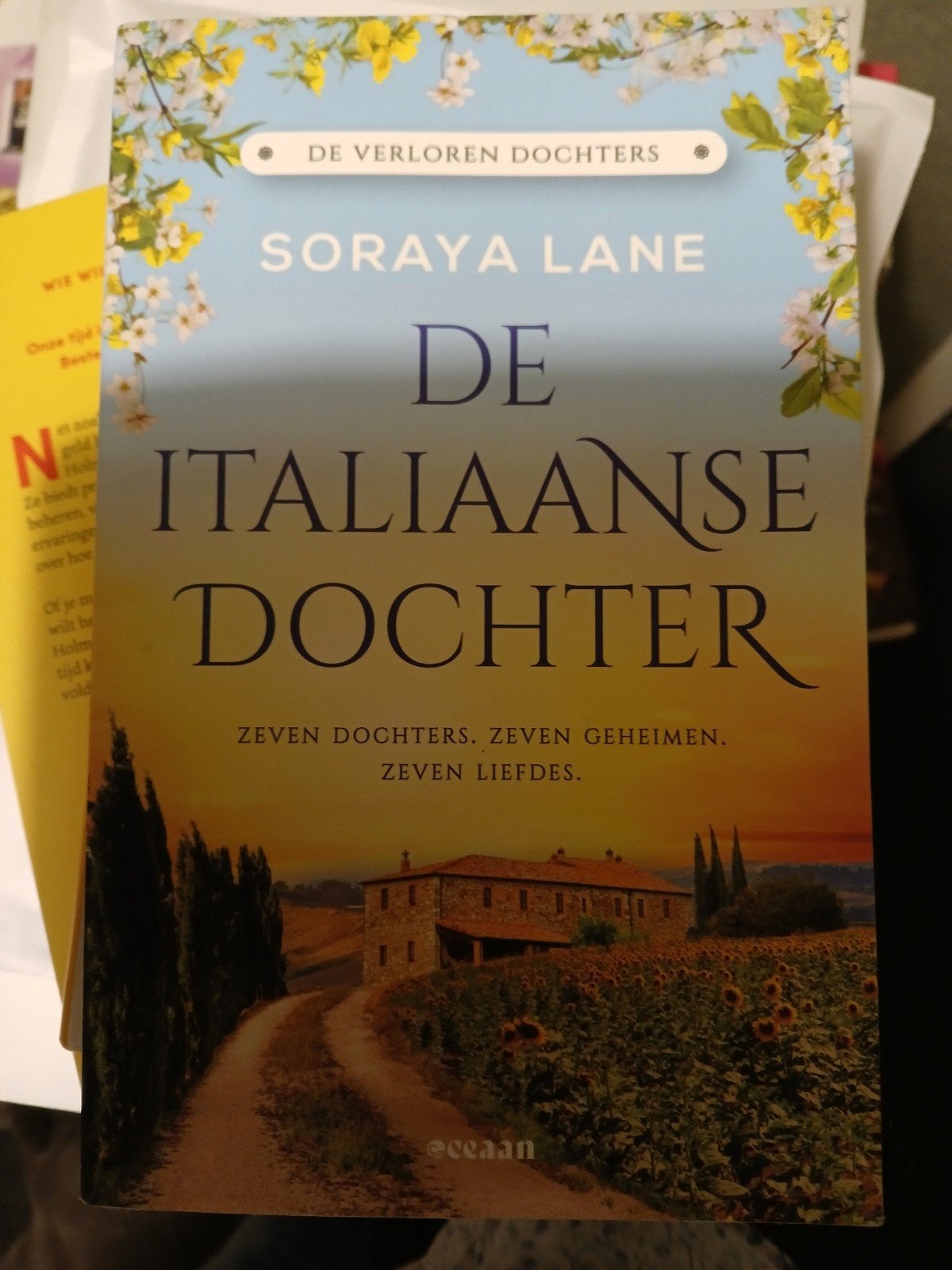 De Italiaanse dochter-Soraya Lane, Boeken, Romans, Ophalen of Verzenden, Gelezen