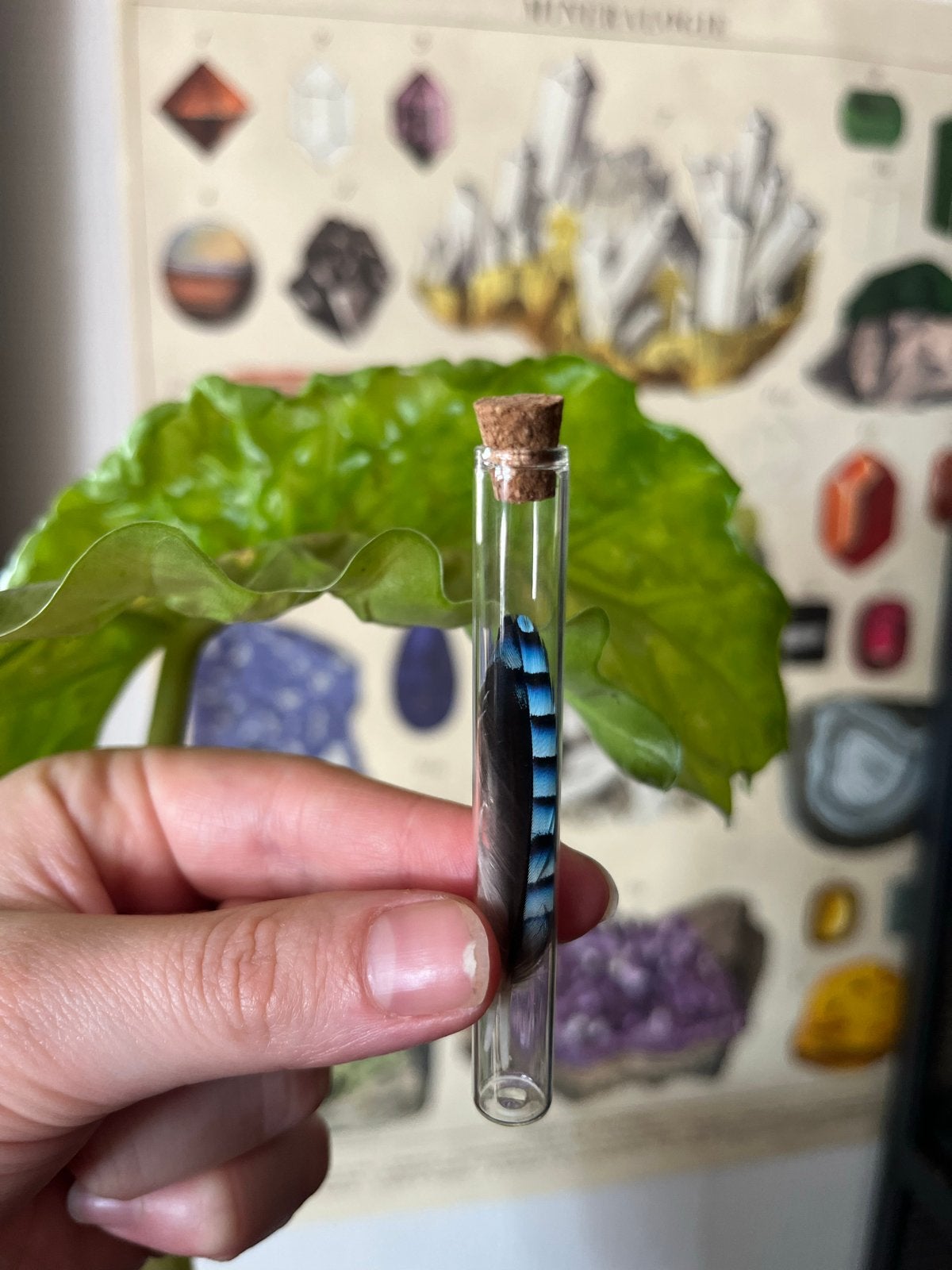 Glazen buisje met kurk en 2 blauwe gaai veertjes, Ophalen of Verzenden, Zo goed als nieuw