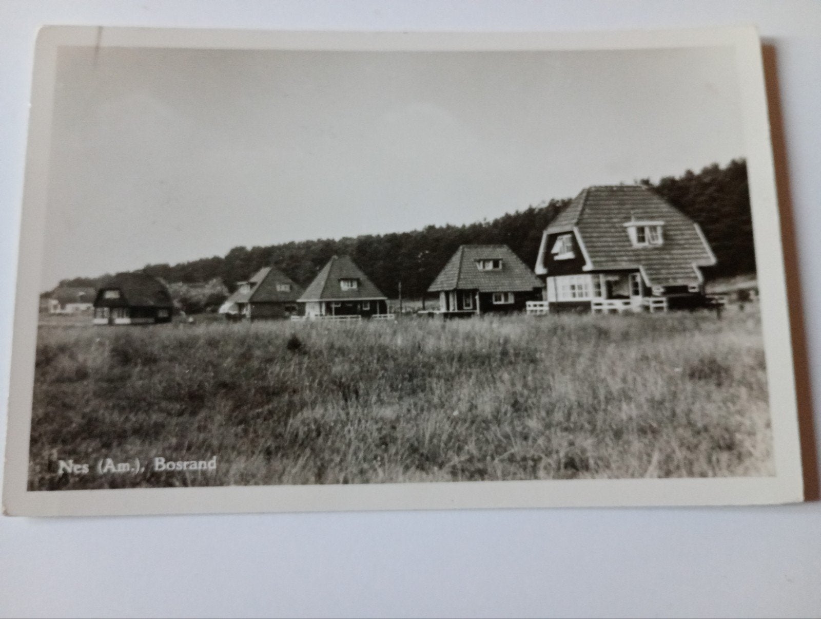Ameland Nes Bosrand met Zomerhuisjes 1956, Ophalen of Verzenden, 1940 tot 1960, Gelopen, Waddeneilanden