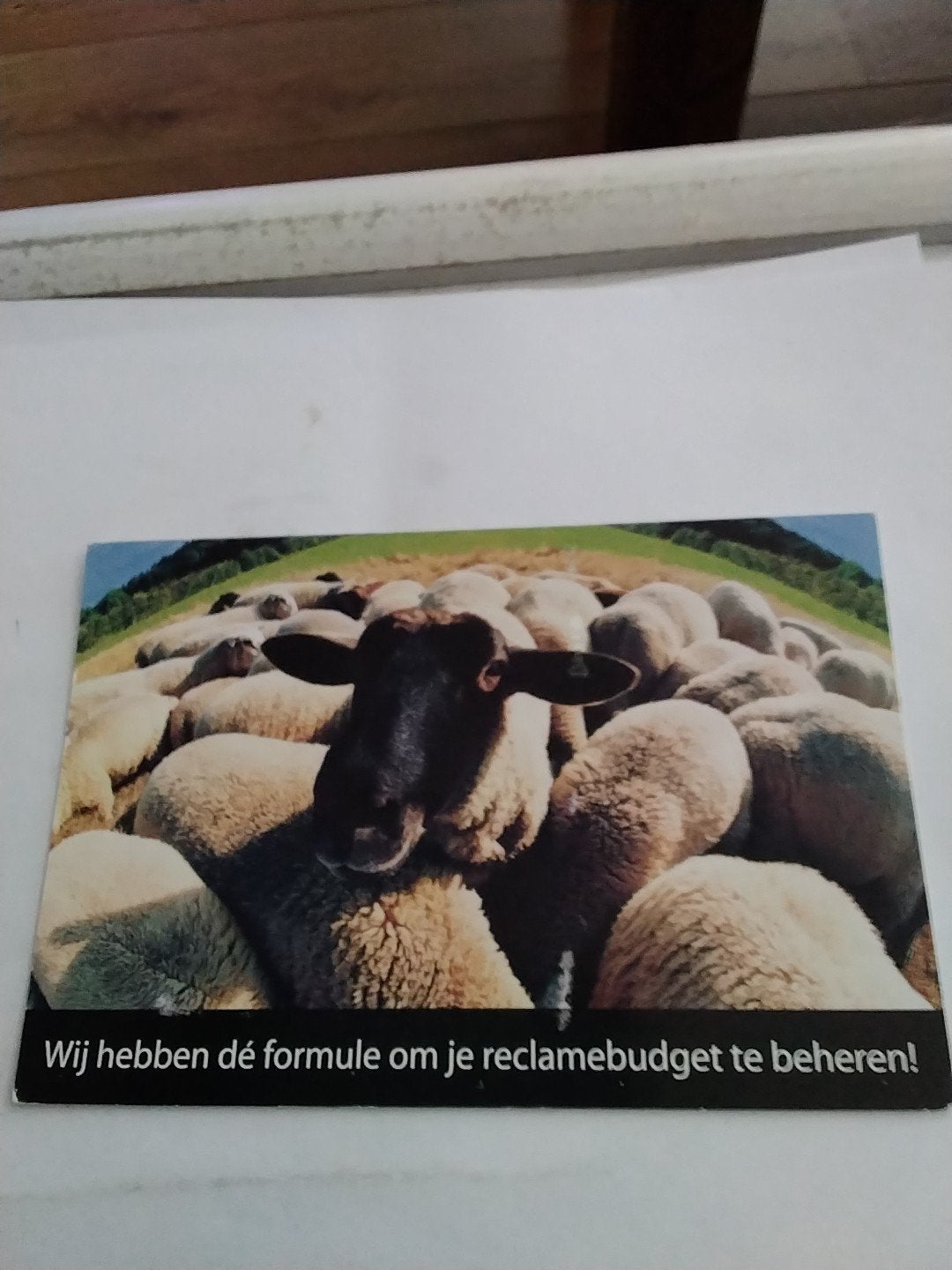 Oude reclamekaart met schapen en postzegel, Verzamelen, Ophalen of Verzenden, 1980 tot heden, Gelopen