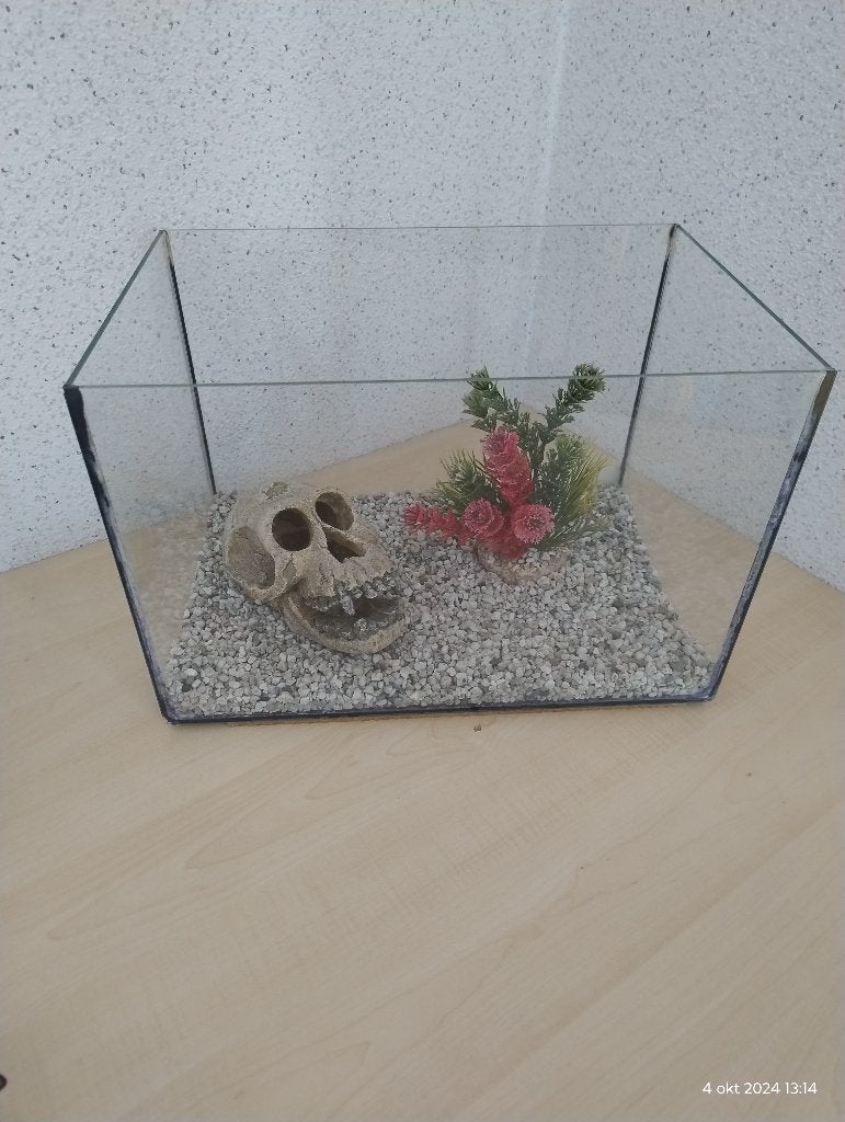 Aquarium met toebehoren. 35 x 23 x 23 cm, Ophalen of Verzenden, Gebruikt, Leeg aquarium