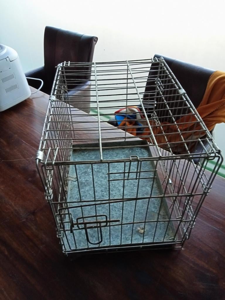 Bens voor kleine honden, Ophalen of Verzenden