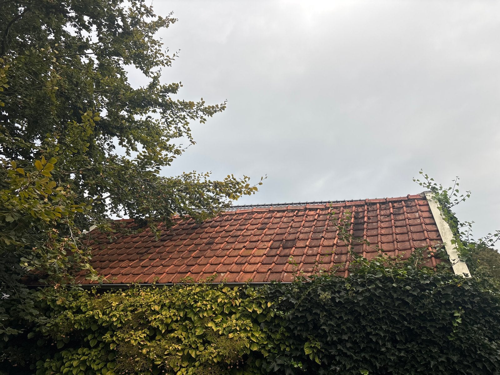 Gebruikte dakpannen  tuile du nord, Ophalen, Gebruikt, Steen of Klei, 15 m² of meer