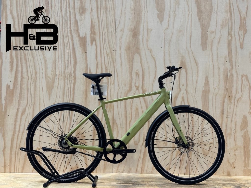 Tenways CGO600 Pro E-Bike Single-Speed