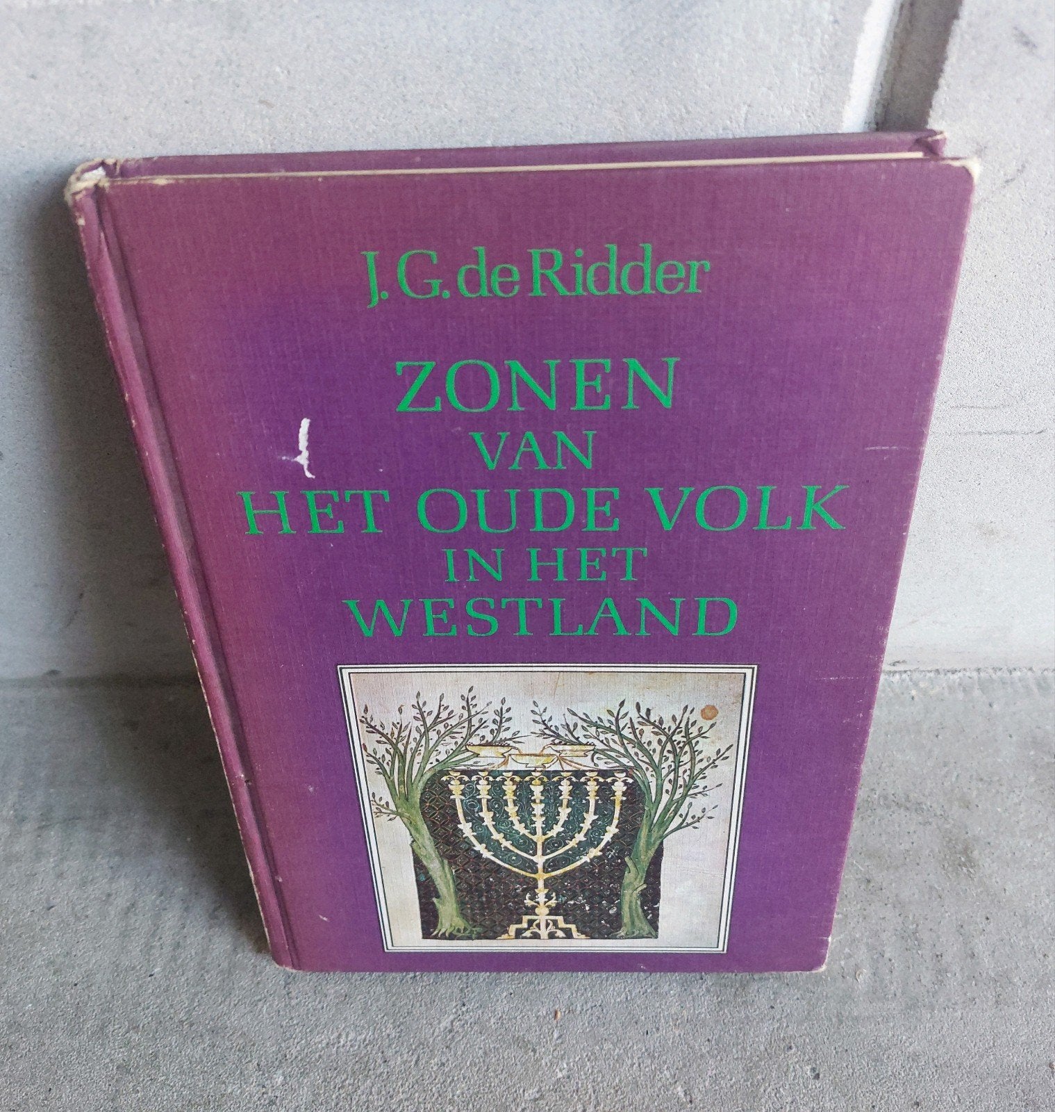 Zonen van het oude volk in het Westland, Ophalen of Verzenden, Gelezen, Jodendom
