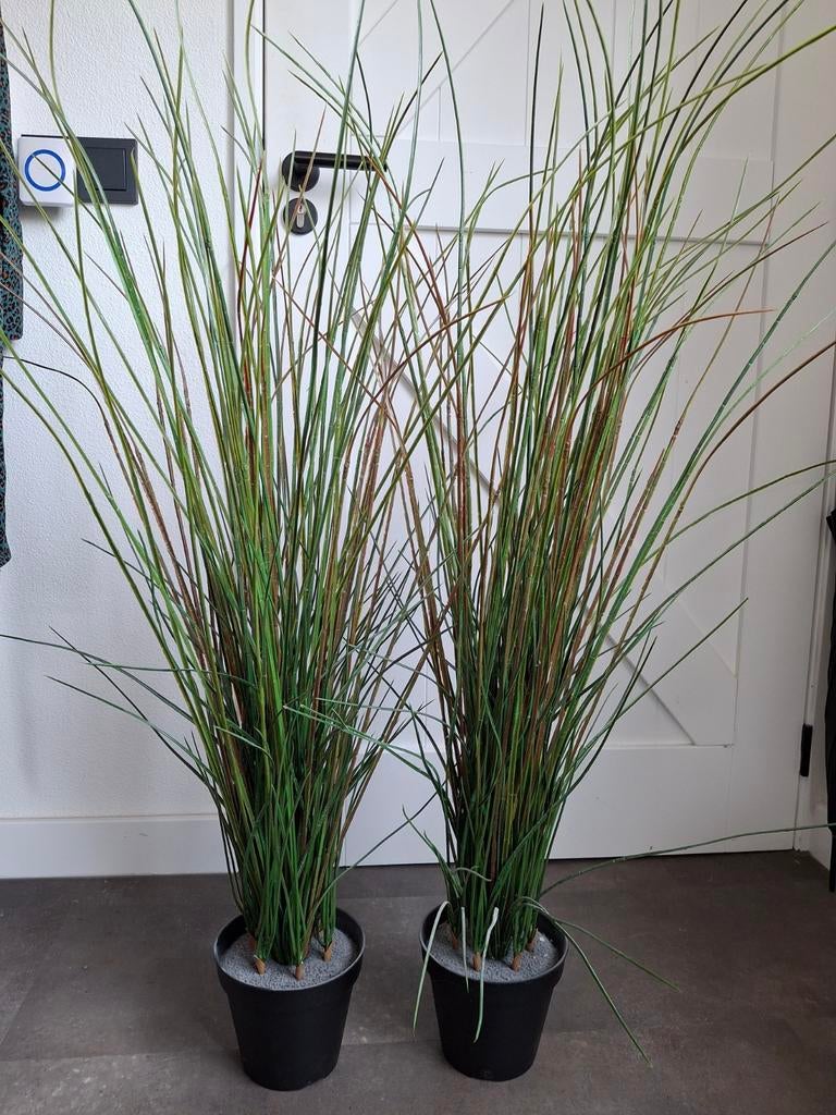 Kunstplanten Ikea, Ophalen, Zo goed als nieuw