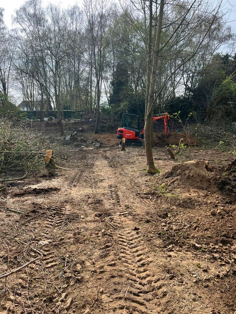 Tuin Onderhoud ,Snoei en Zaagwerkzaamheden