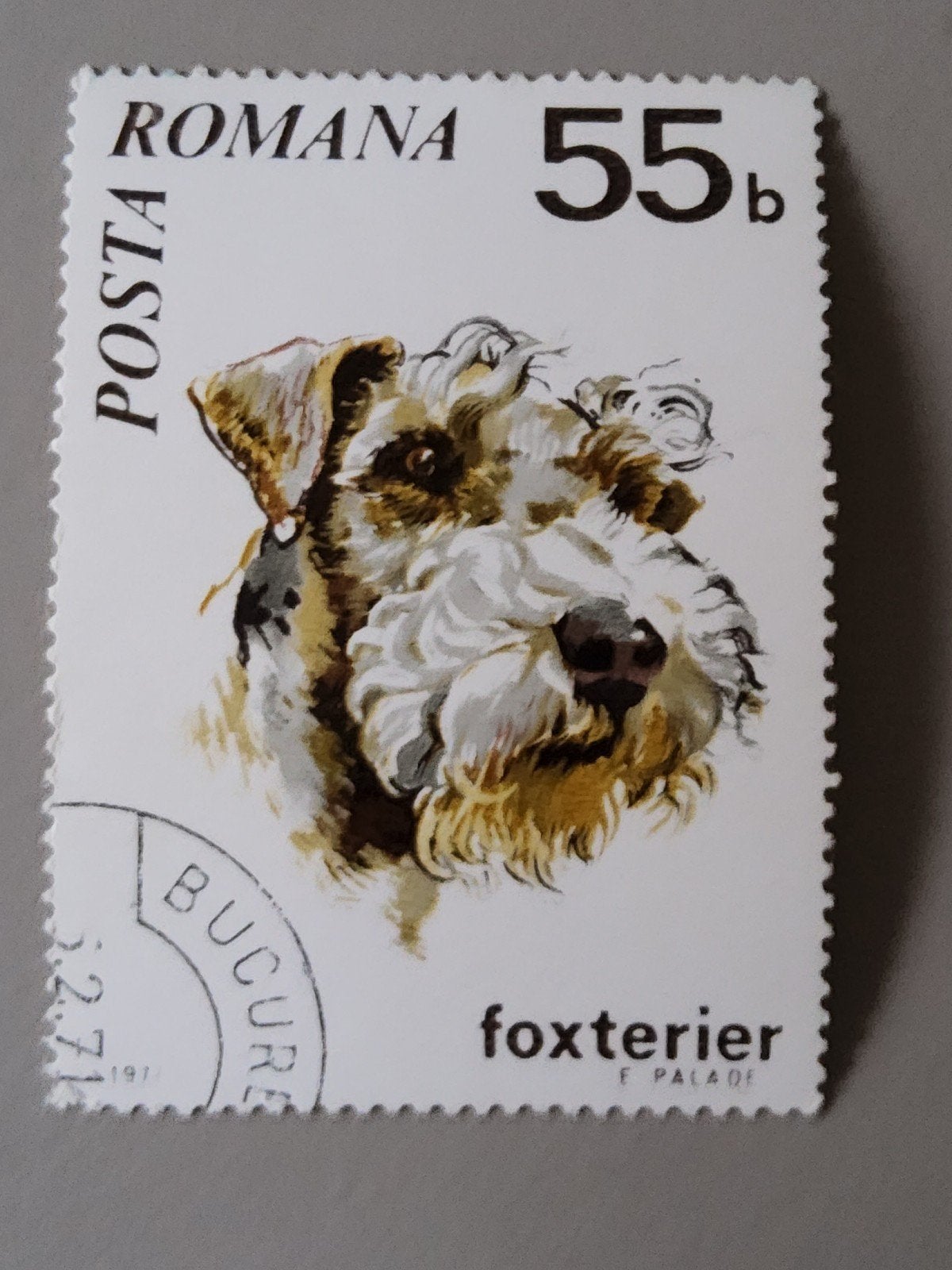 Roemeense postzegel 1971 - Foxterriër (Gestempeld), Verzenden, Overige landen, Gestempeld