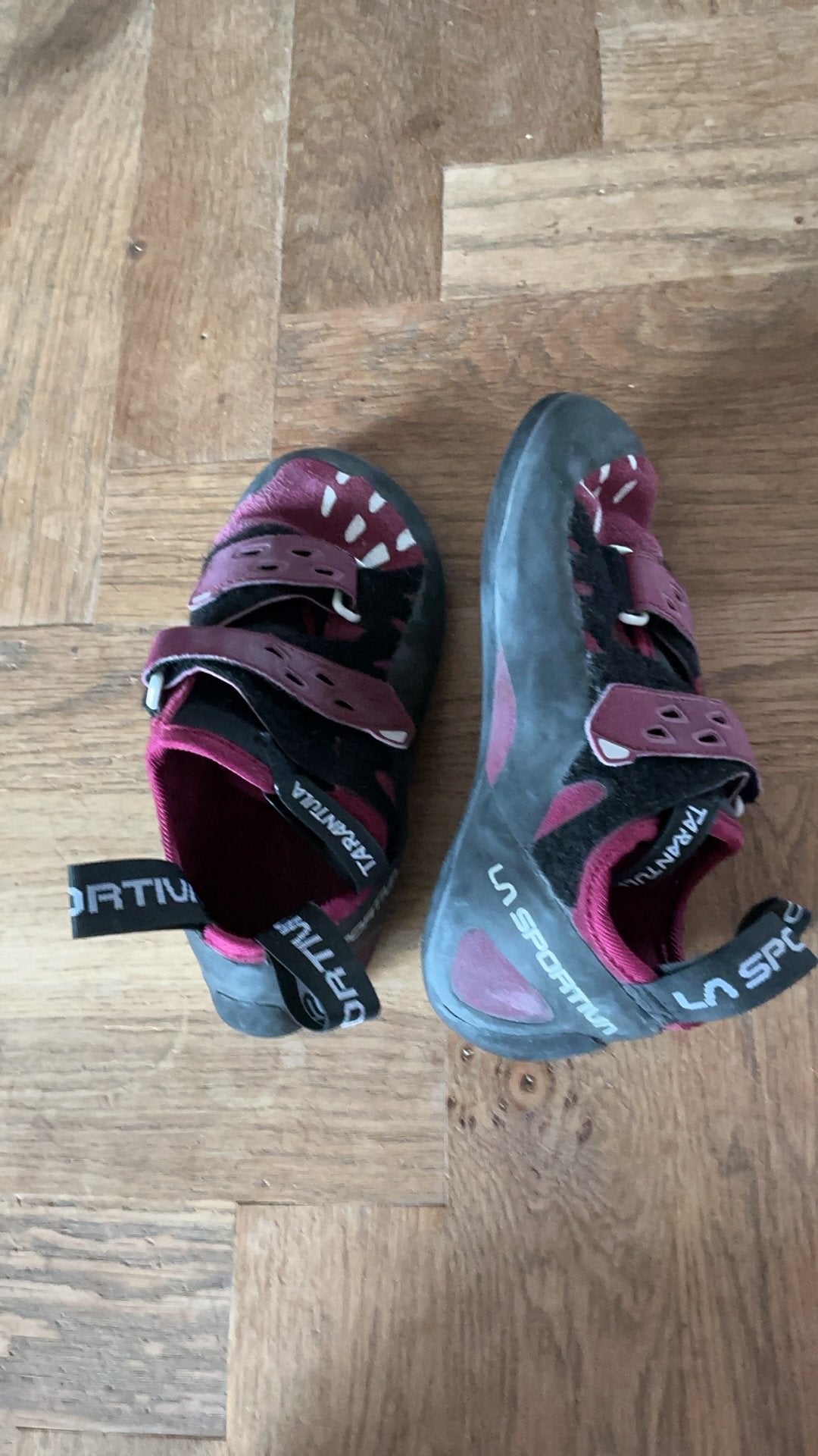 La Sportiva klimmen schoenen, Ophalen of Verzenden, Nieuw, Klimsportschoenen