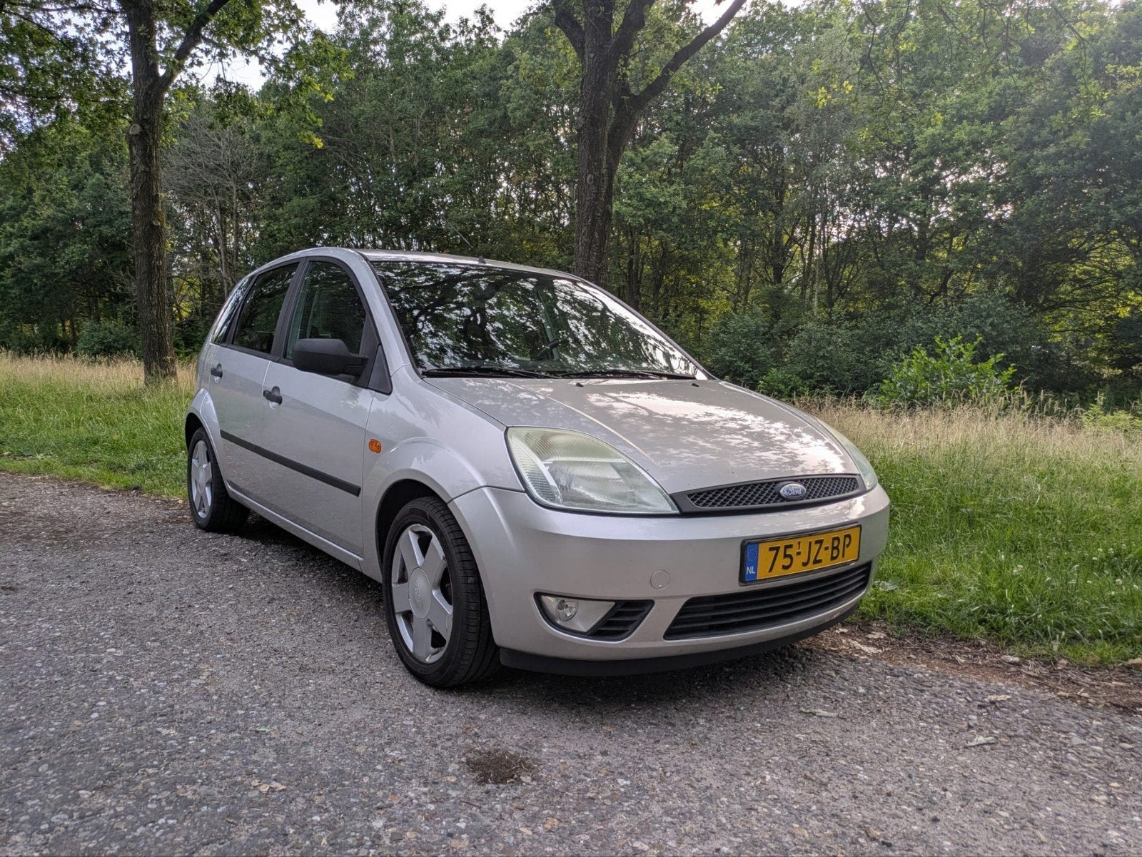 Ford Fiësta 1.4 16V 5DR 2002 Grijs, Voorwielaandrijving, 4 cilinders, 49 €/maand, Origineel Nederlands