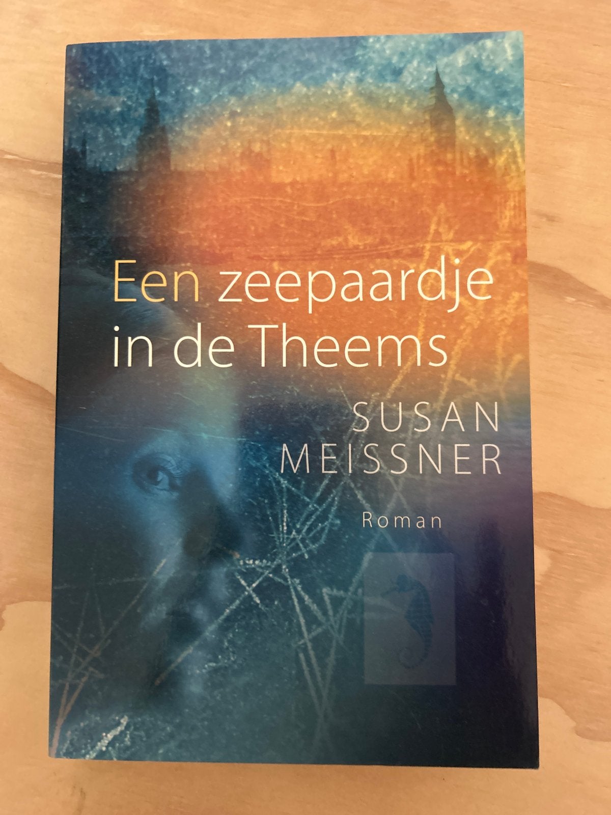 Een zeepaardje in de Theems - Susan Meissner Roman, Boeken, Ophalen of Verzenden, Zo goed als nieuw, Nederland