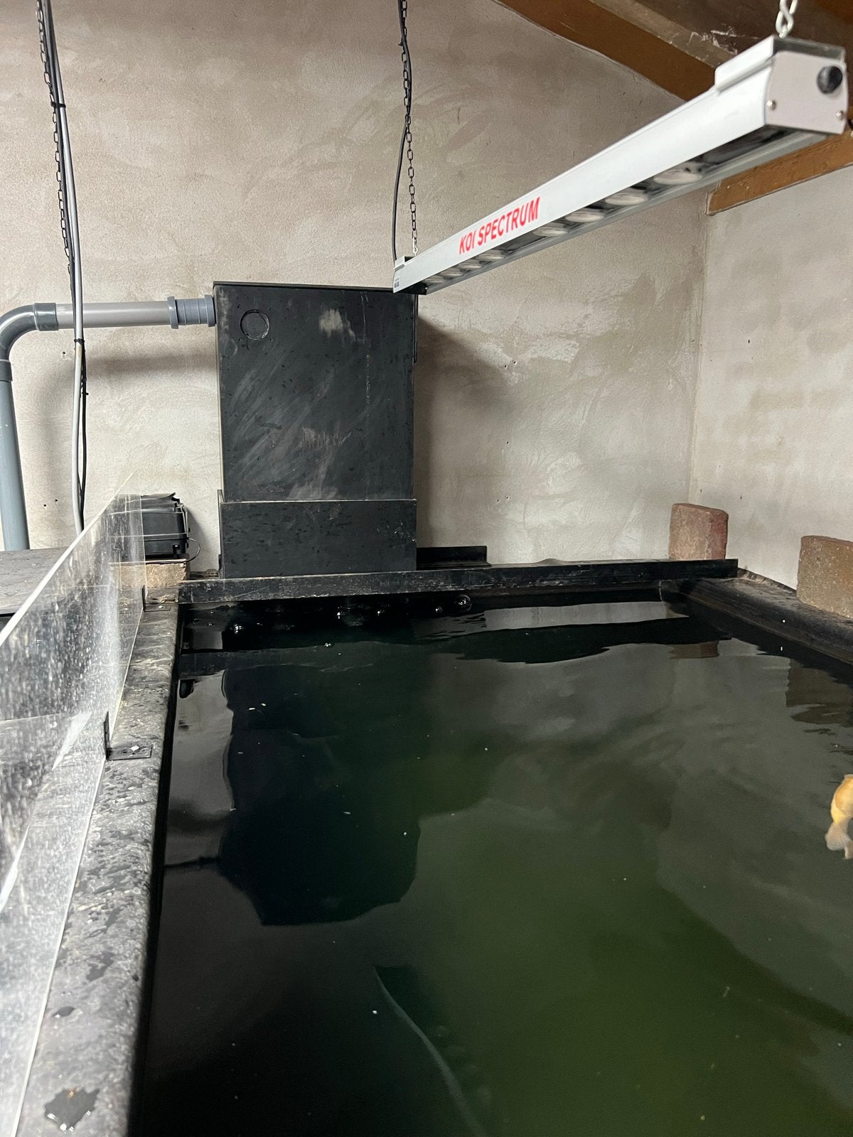 Trickle filter gevuld met bio staven helix met onder uitloop, Ophalen, Gebruikt, Vijverfilter