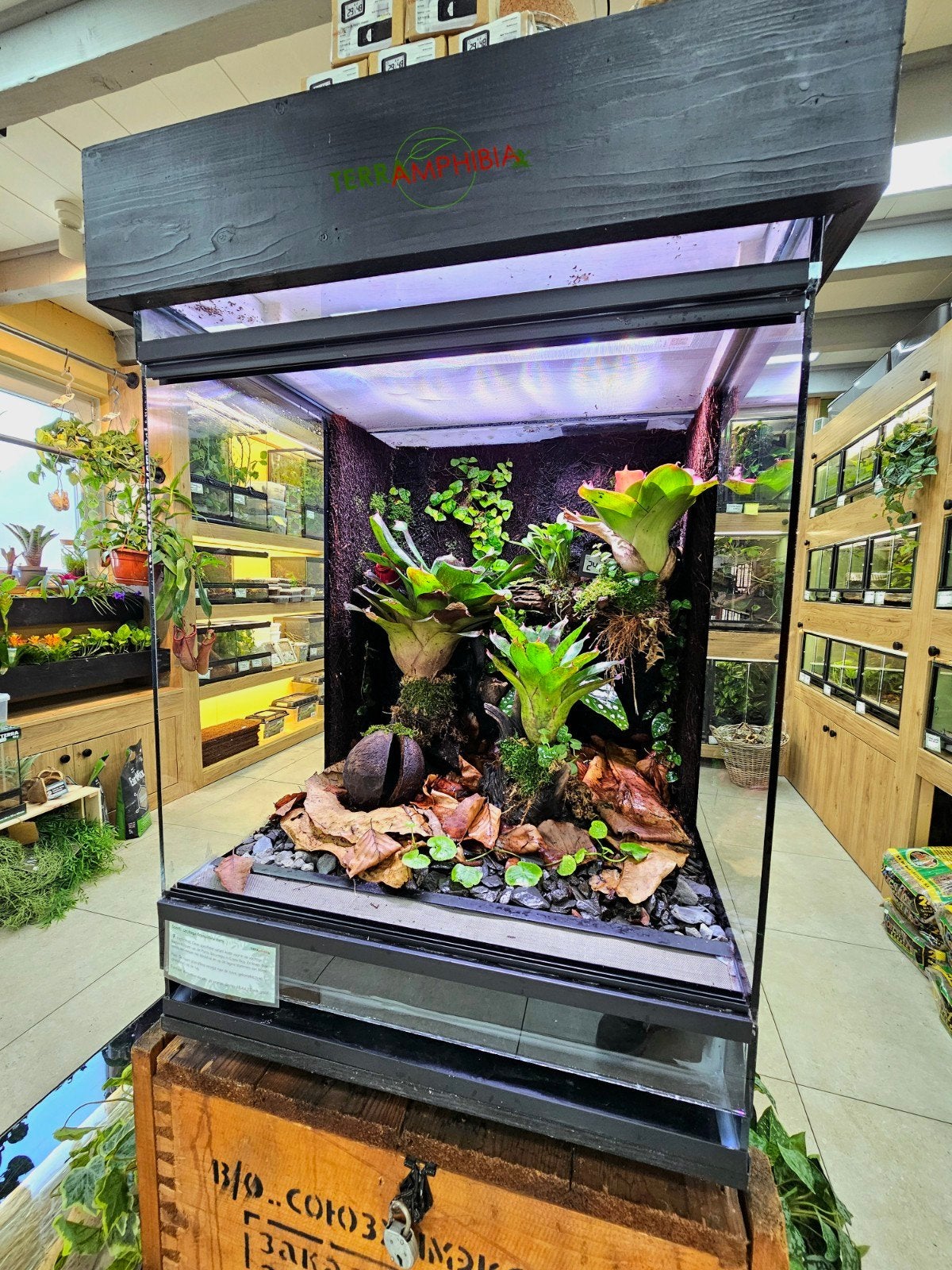 Show paludariums beschikbaar, Dieren en Toebehoren, Reptielen en Amfibieën | Toebehoren, Ophalen, Nieuw, Terrarium of Paludarium