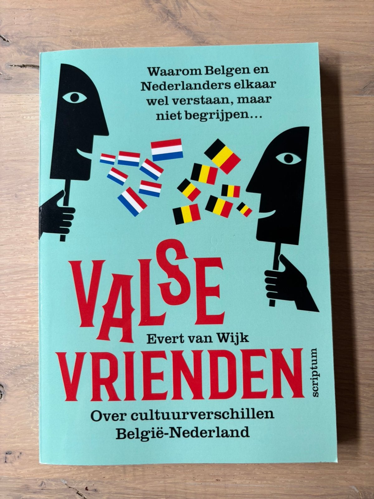 Valse vrienden, auteur Evert van Wijk, Maatschappij en Samenleving, Nieuw, Nederland, Evert van Wijk