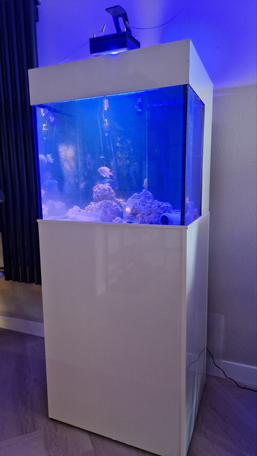compleet draaiend zeeaquarium met levende have, Dieren en Toebehoren, Ophalen, Inclusief controller, Gebruikt, Gevuld zeewateraquarium