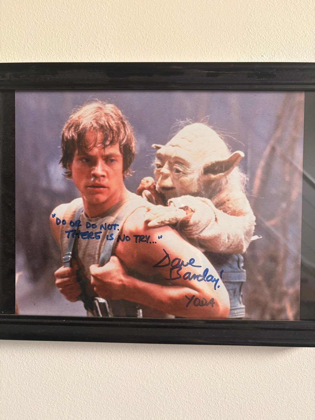 Star wars Yoda Dave Barklay signature, Ophalen, Zo goed als nieuw, Minder dan 50 cm, Schilderij
