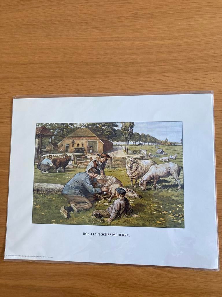 Prent Bos aan het Schaapscheren ( Jetses), Natuur, Nieuw, Ophalen of Verzenden, Voor 1940
