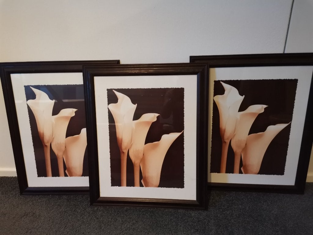 Schilderij/print incl lijst 3 luik Aronskelk, 50 – 75, Minder dan 50 cm, Ophalen of Verzenden, Zo goed als nieuw