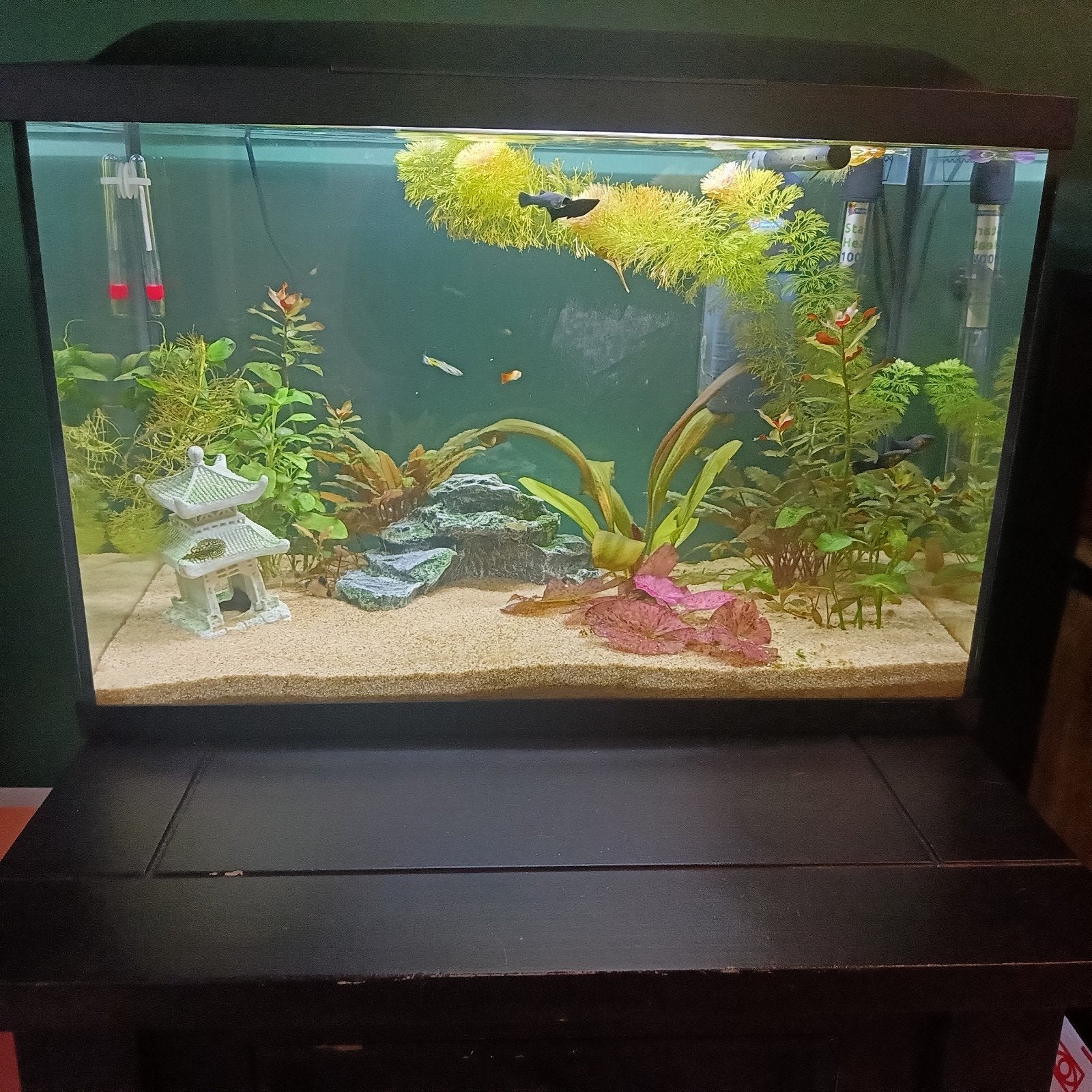 Aquarium, Ophalen of Verzenden, Zo goed als nieuw, Leeg aquarium