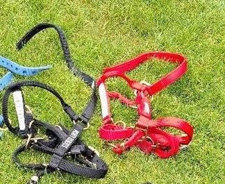 Trainingsmaterialen paard/pony, Ophalen of Verzenden, Zo goed als nieuw, Overige soorten
