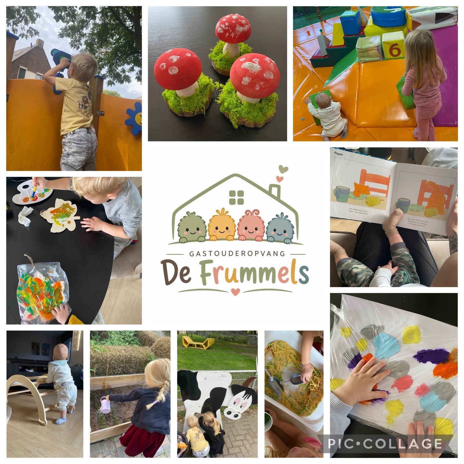 Gastouderopvang De Frummels, Ophalen, Nieuw