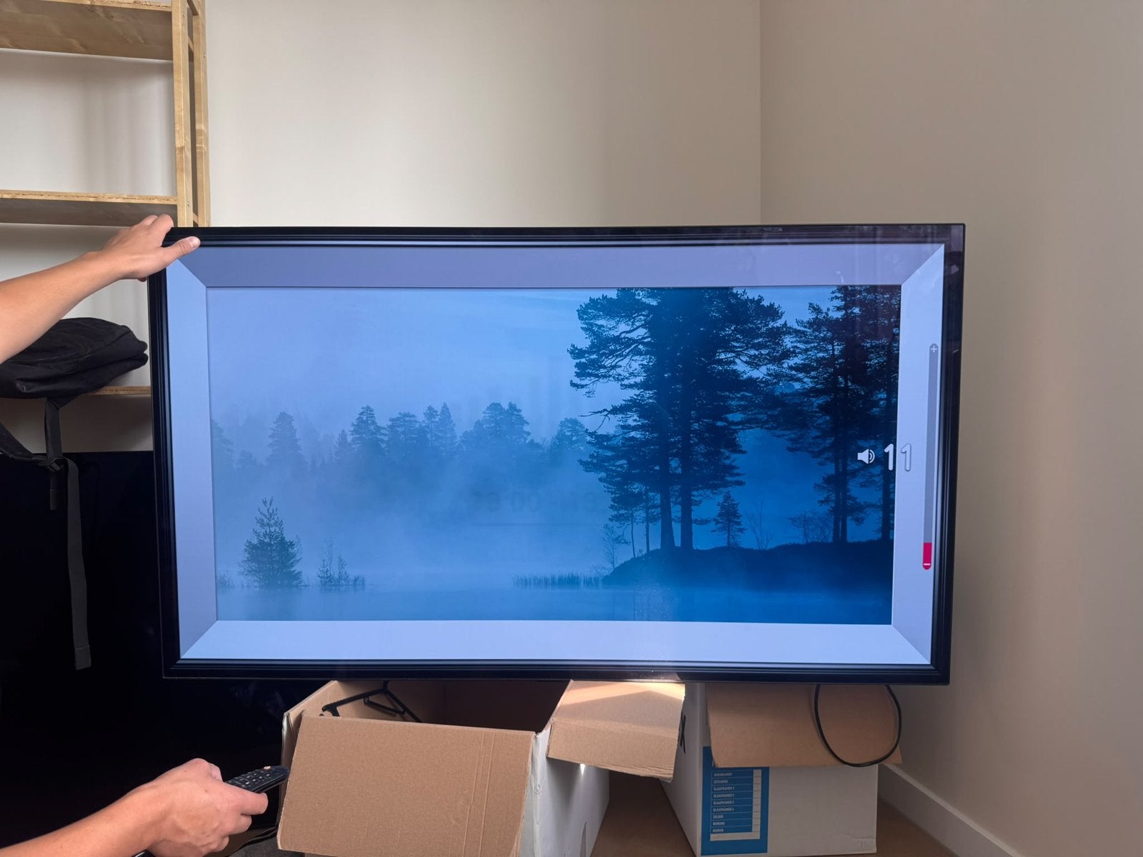 LG OLED55B8PLA OLED TV - Licht ingebrand, zonder poot