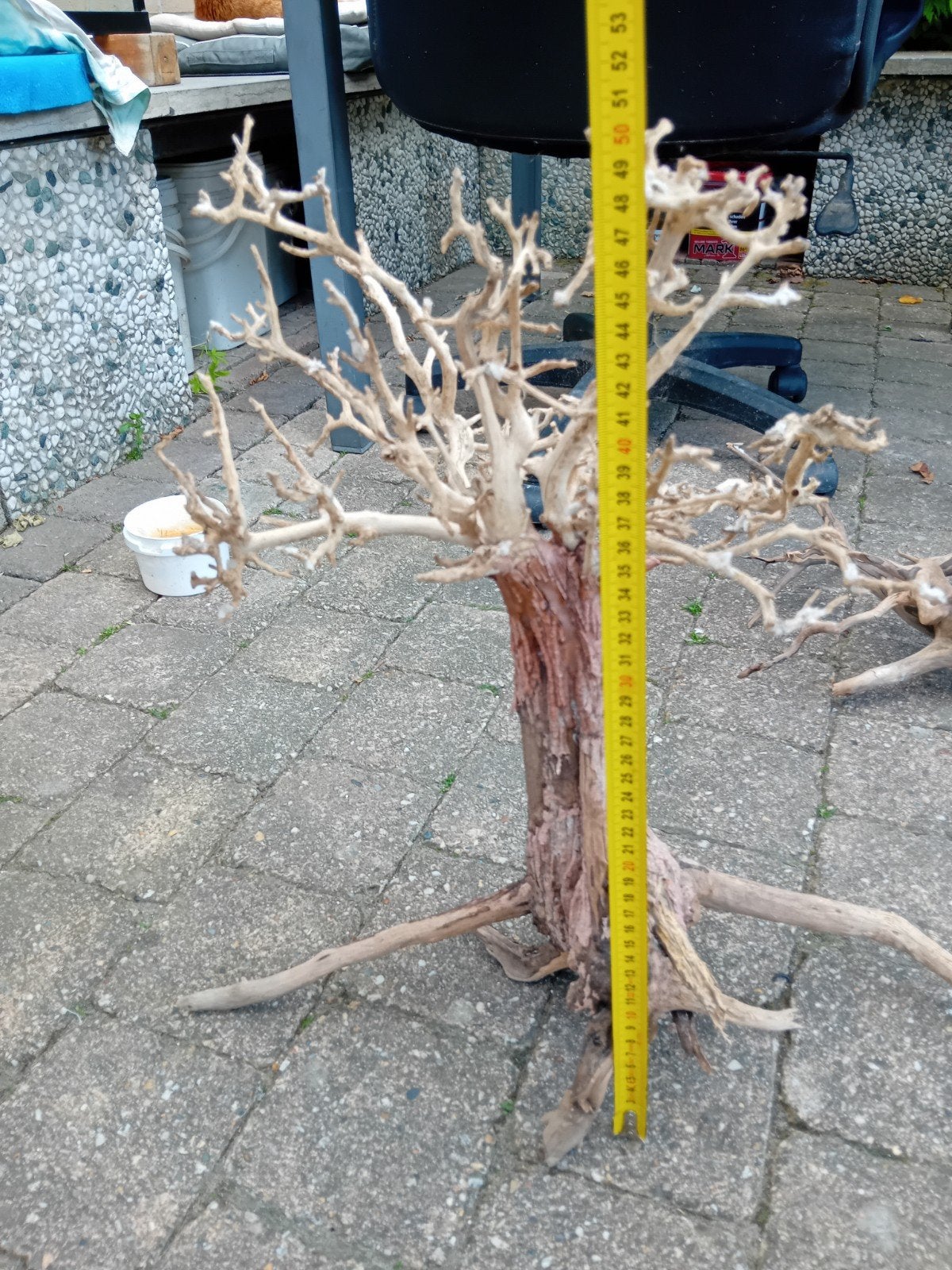 Bonsai boom voor aquarium  alleen ophalen, Ophalen, Plant(en), Steen of Hout
