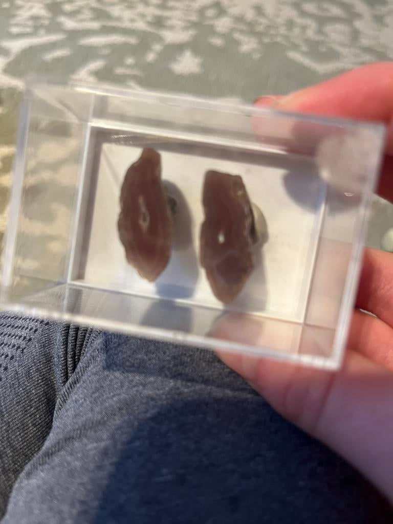 2 stenen met plastic bakje erbij, Ophalen of Verzenden, Overige typen