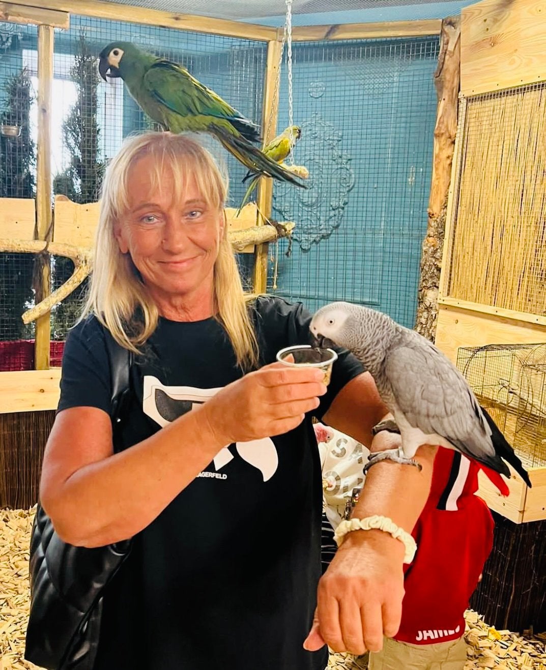 tamme & pratende grijzeroodstaart papegaaien ook voor kind, Dieren en Toebehoren, Vogels | Parkieten en Papegaaien, Meerdere dieren