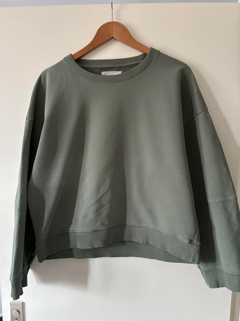 Humanoid sweater maat M, Ophalen of Verzenden, Zo goed als nieuw, Maat 38/40 (M), Groen