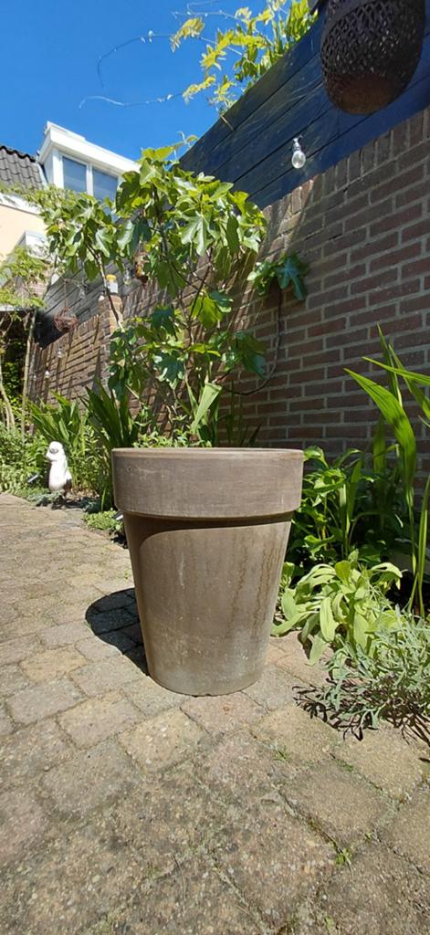 Grijze grote terracotta bloempot plantenpot, Ophalen, Rond, Steen