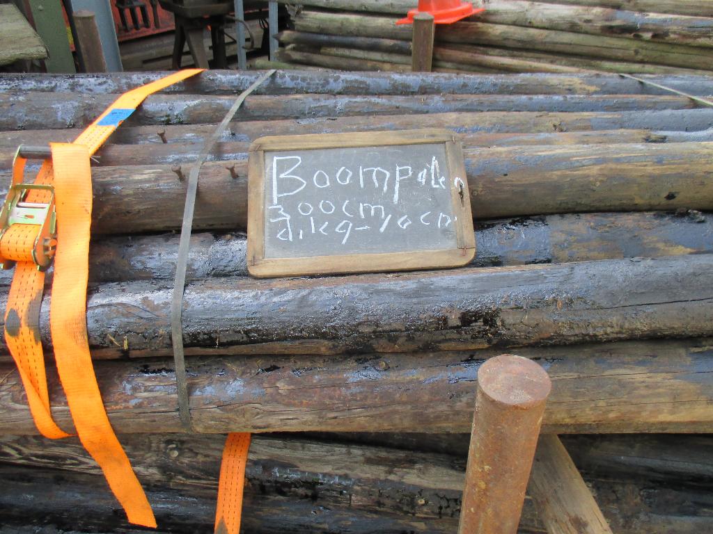 boompalen   lang   300  cm   dik 9-10  cm, Ophalen, Zo goed als nieuw, 250 cm of meer, Palen